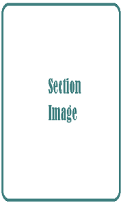 Setion Image